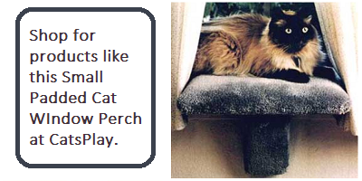 buy cat furniture at CatsPlay Cat Furniture